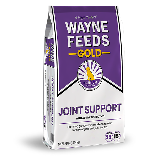 Joint Support Bag