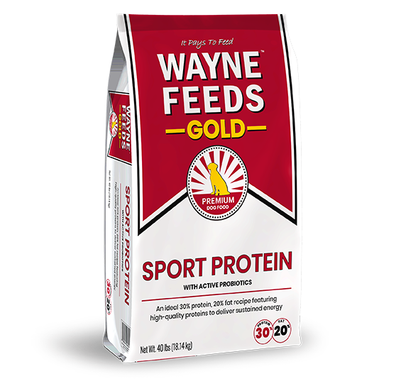 Sport Protein Bag