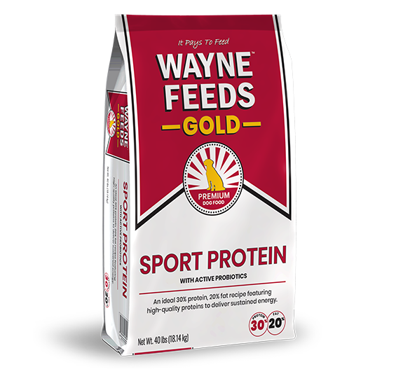 Sport Protein Bag